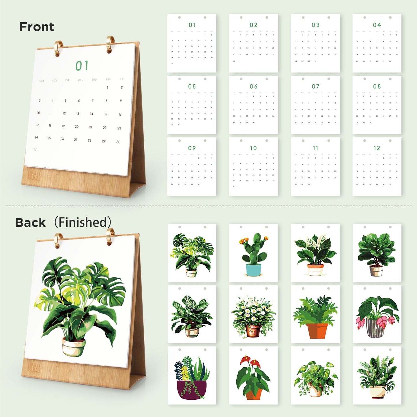Pflanzen-Edition – 2027 Malen nach Zahlen Tischkalender