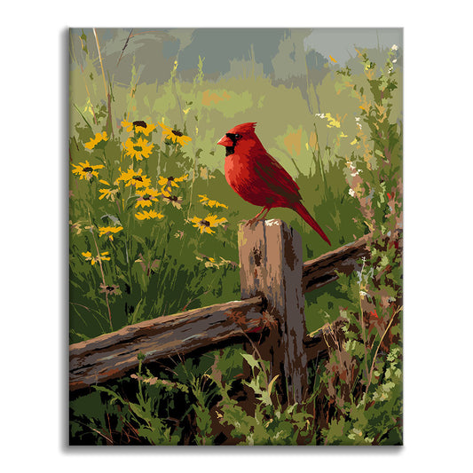 Country Cardinal – Malen nach Zahlen