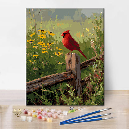 Country Cardinal – Malen nach Zahlen